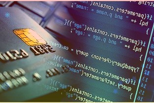 科学家用超声波刺激动物大脑让其实现冬眠，未来可用于太空旅行